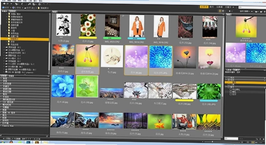 Adobe Bridge2021��ע��� �������� ͼƬ ��������