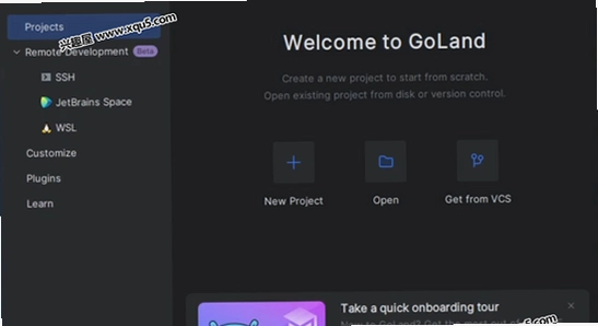 JetBrains GoLand 2023�������°� ���ԻỰ����