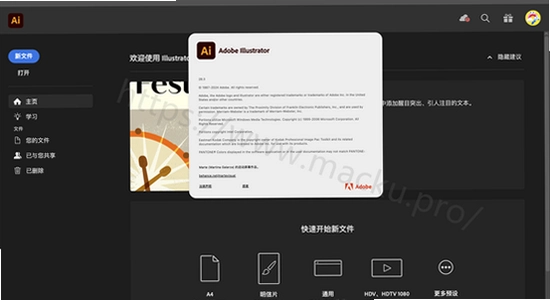 Adobe Illustrator 2024���Ŀɼ���� ������ ���� �Զ���