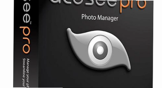 ACDSee 2026中文破解版 图片标签 管理界面