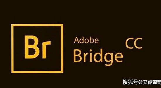 Adobe Bridge 2023中文激活版批量重命名操作演示