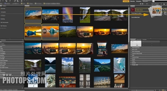 Adobe Bridge 2023中文激活版与Lightroom对比图