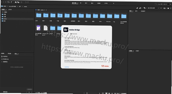 Adobe Bridge 2025�Ѽ������İ���������ͼƬ�زĲ�����ͼ