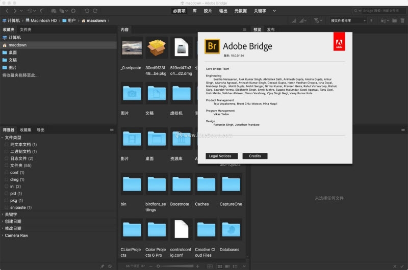 Adobe Bridge Br 2025�ٷ������ؽ�ͼ