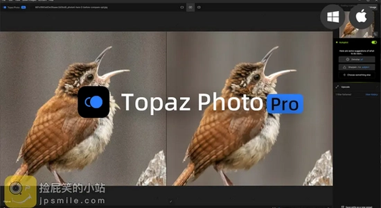 Topaz Photo Pro(AIͼƬ��������) AI��ǿ���ܲ��������ͼ