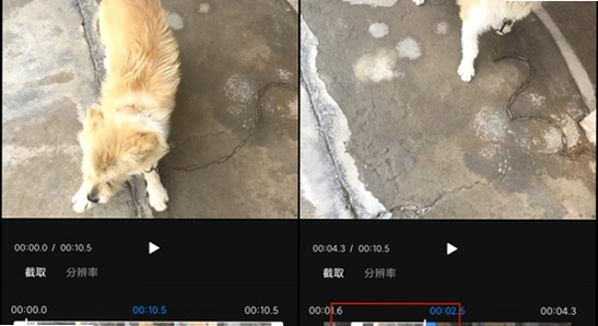 GIPHY��ͼ��ô���� �ֻ���GIF��ͼ����̳� ɫ�ʷḻ ��ˮӡ ����ͼ