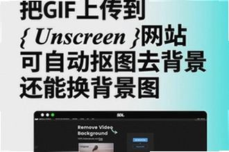 GIPHY怎么保存动图到手机相册?GIPHY动图下载保存教程2026