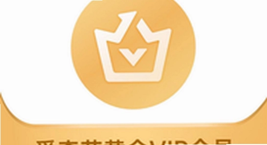 爱奇艺国际版会员购买页面,iqiyi海外版vip特权介绍图
