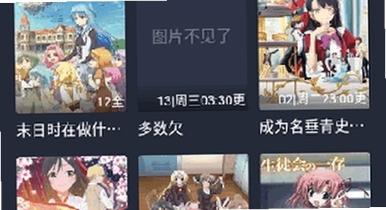 动漫共和国2026安装界面截图,动漫共和国最新版下载安装步骤,清晰无水印