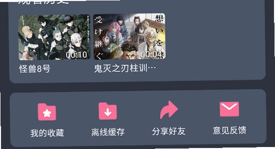 次元纯净版app安装步骤,手机应用安装设置,免广告动漫软件