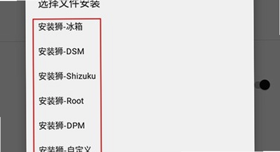安装狮app官方正版下载手机安装界面