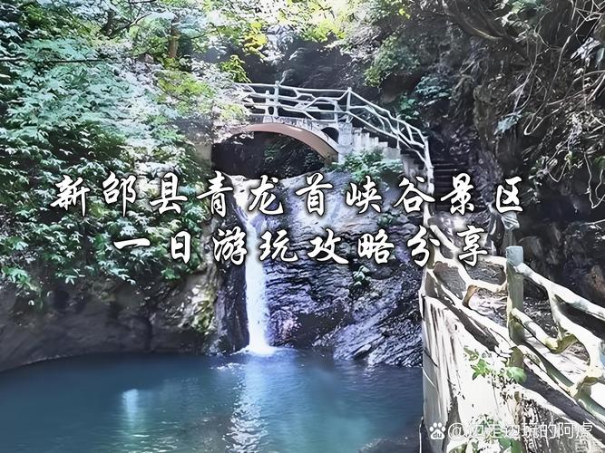 新新邵客户端app官方下载截图