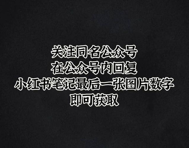 EV加密播放官方版下载截图