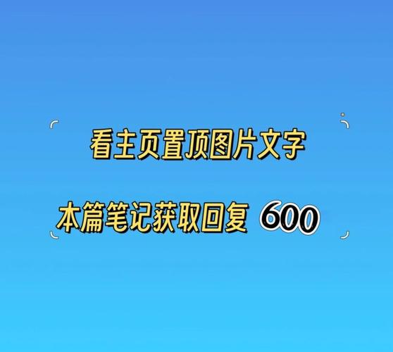 EV加密播放官方版下载截图
