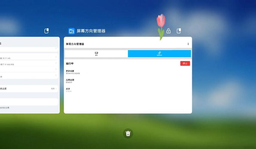 ��Ļ�����������Screen Rotation Control���ؽ�ͼ