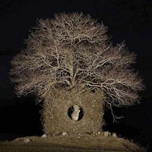 ��������StarTree�ٷ�����v1.3.1 �������