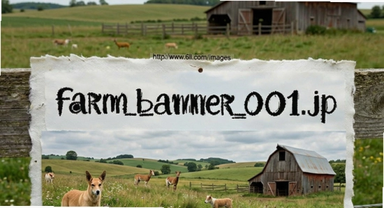 http://www.6ll.com/images/farm_banner_001.jpg