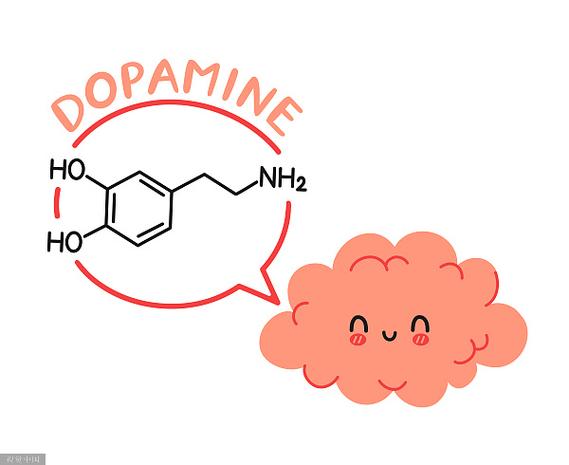 Dopamine官方版下载截图