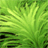 Dream Aquarium�ٷ�������1.0.0 �ٷ�����