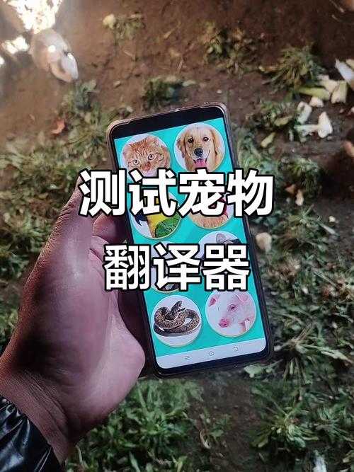 �������Է���������Ի��������ؽ�ͼ