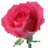 �����������ֹٷ�������v3.2.1 �ٷ�����