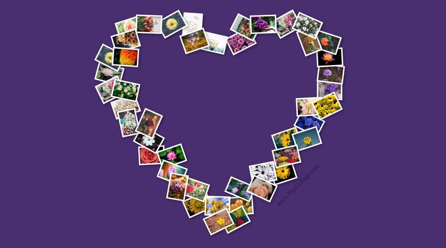 Shape Collage �Զ�ƴͼ�������԰����ؽ�ͼ