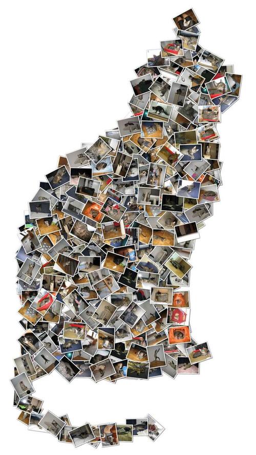 Shape Collage �Զ�ƴͼ�������԰����ؽ�ͼ