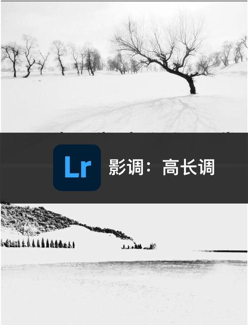 ��Ӱ���ٷ�������v1.0.0 �ٷ�����