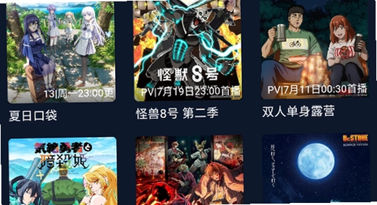 次元动漫官方正版安全检测结果截图,无水印,清晰