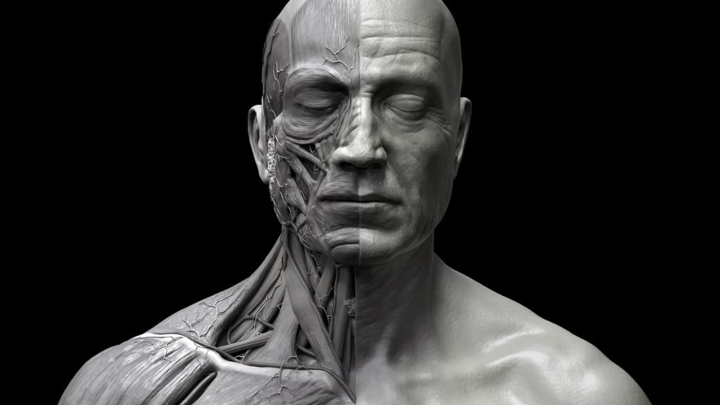 Zbrush���°����ؽ�ͼ