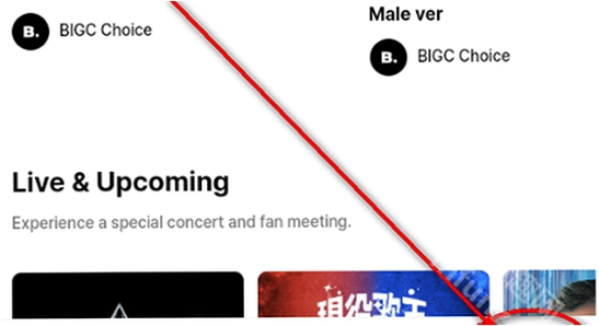 bigc׷�������ֻ����������˽���̳�,ɫ�ʷḻ,��ˮӡ,����ͼ