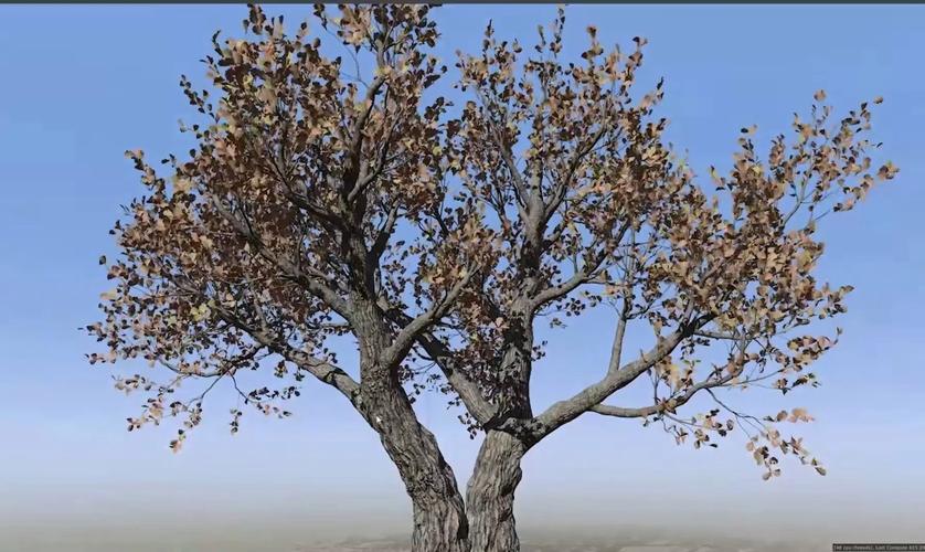SpeedTree�ٷ������ؽ�ͼ