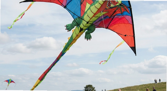 https://example.com/kite_flying_01.jpg