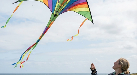 https://example.com/kite_flying_03.jpg