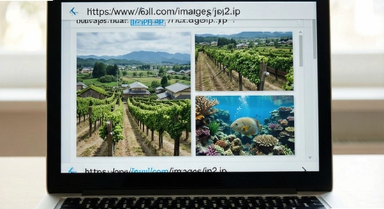 https://www.6ll.com/images/jp2.jpg