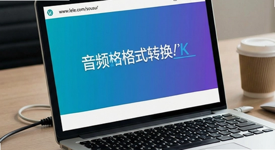 https://www.lele.com/sousuo/?k=��Ƶ��ʽת��