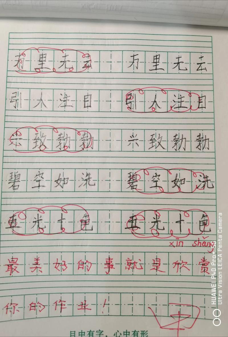 圆圆打字高手官方版下载截图