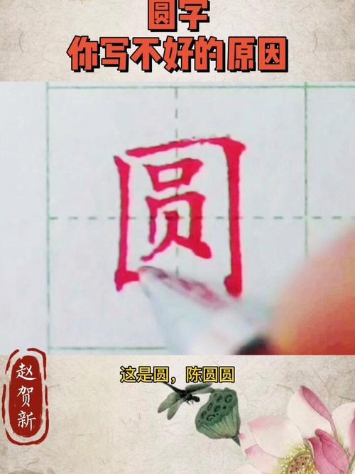 圆圆打字高手官方版下载截图