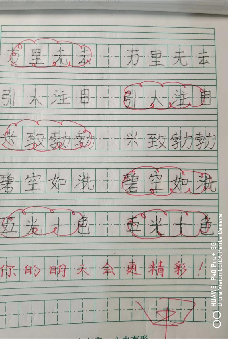 圆圆打字高手官方版下载截图