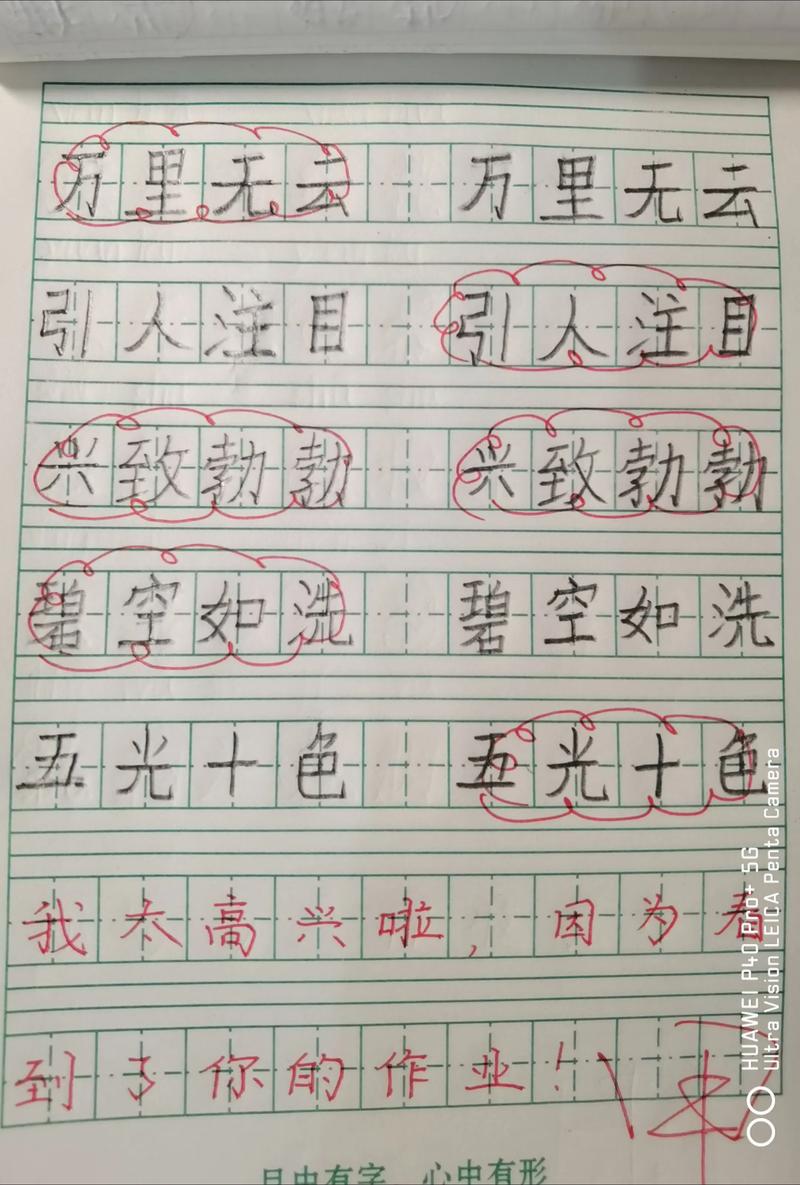 圆圆打字高手官方版下载截图