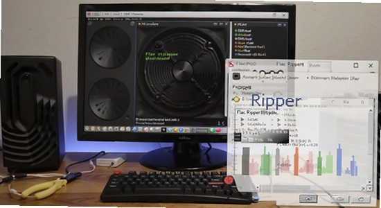 Flac Ripperת���̳�