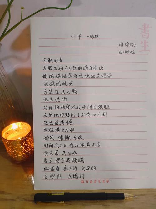 ������MiniLyrics�ٷ������ؽ�ͼ