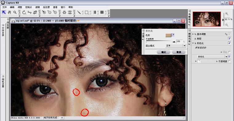 Nikon Capture NX 2�ٷ������ؽ�ͼ