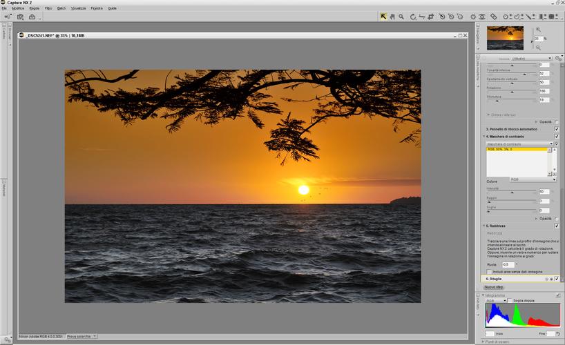 Nikon Capture NX 2�ٷ������ؽ�ͼ
