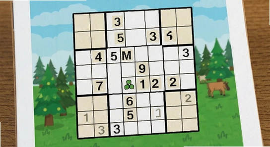 http://example.com/sudoku_scene.jpg