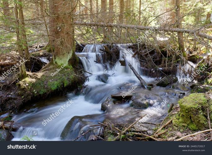StreamTorrent�ٷ������ؽ�ͼ