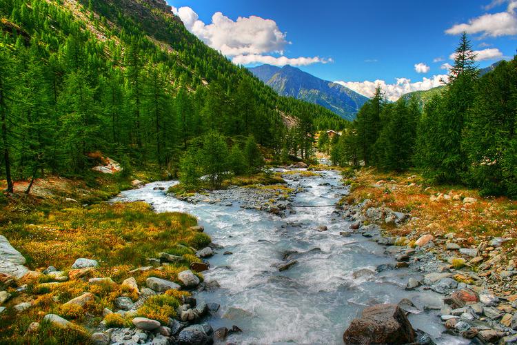 StreamTorrent�ٷ������ؽ�ͼ