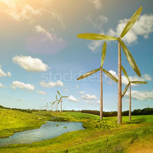 Natural Wind官方版下载截图