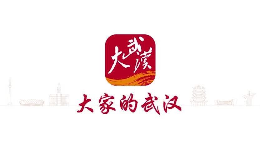 �����人App�ٷ�������v2.9.3 �������