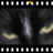 PhotoFilmStrip�ٷ�������v3.1.1 �ٷ�����